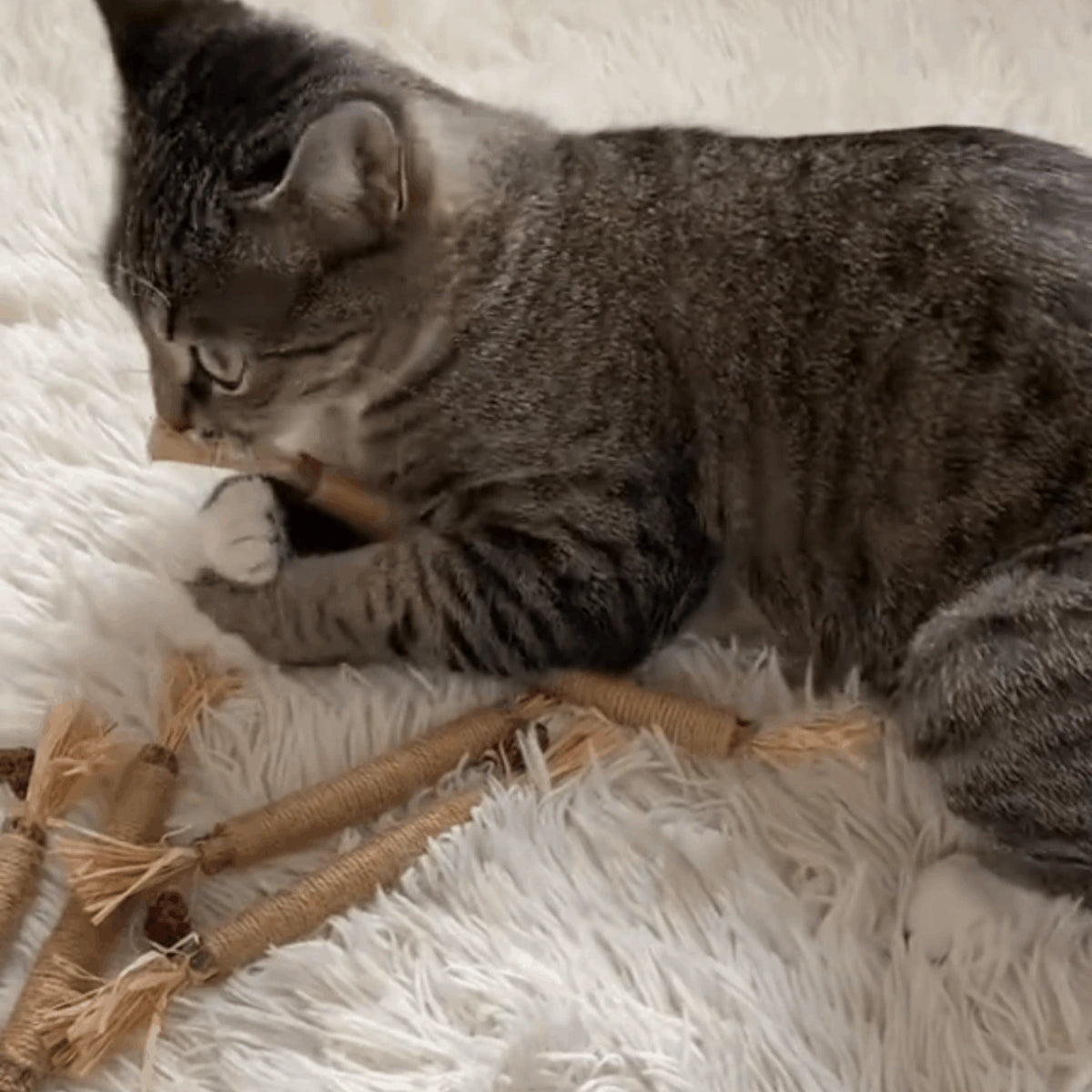 Manveo Silvervine Tandsticks voor Katten